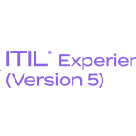 ITIL® Experience (version 5)